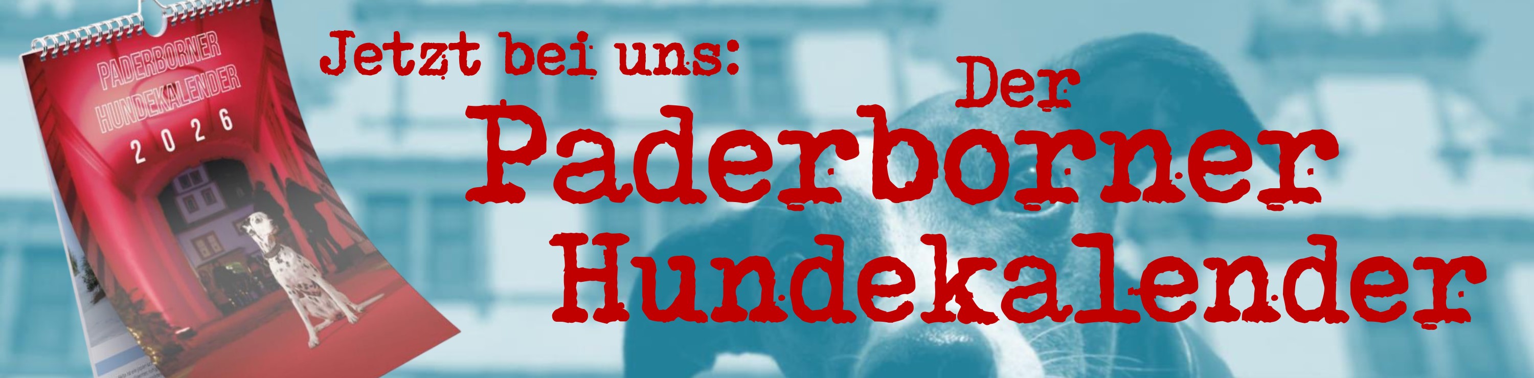Medieninhalt - Feld 1